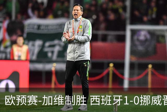 欧预赛-加维制胜 西班牙1-0挪威晋级欧洲杯正赛